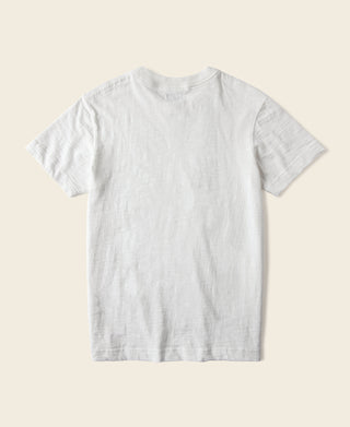 White crew-neck cotton t-shirt, short sleeves, simple clean front