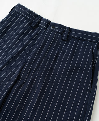 Navy pinstripe waistband with belt loops and dark button closure
